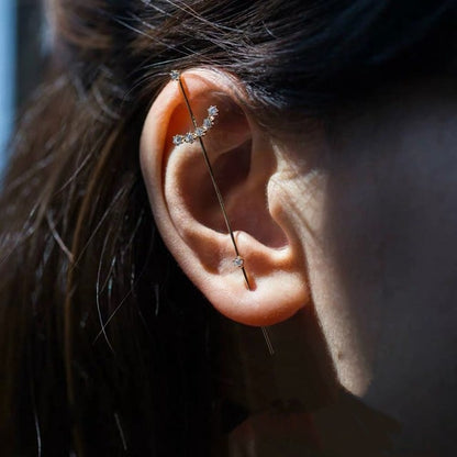 Stretched Earrings